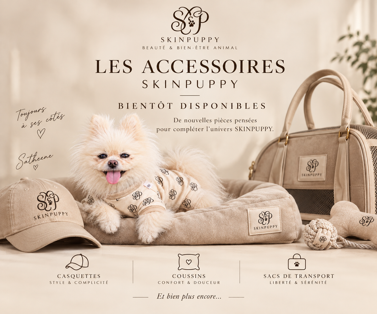 Bientôt disponible